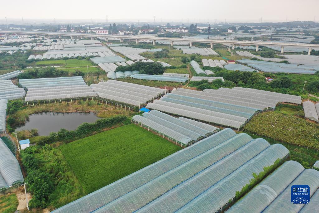 十博官网游戏下载